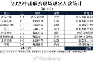  2025中超联赛现场观众人数统计（第17轮）
