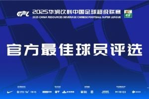  中超第17轮最佳候选：韦斯利、米特里策、拉布亚德等5名外援